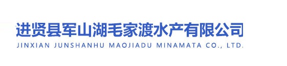 安徽皖集汽車制造有限公司