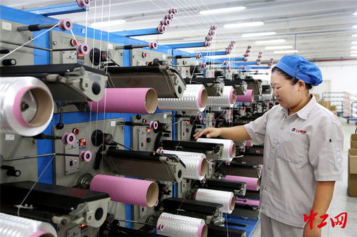 連云港外貿企業“雙輪驅動” 搶訂單與強技術并行，開拓出海新航道